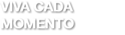 VIVA CADA MOMENTO