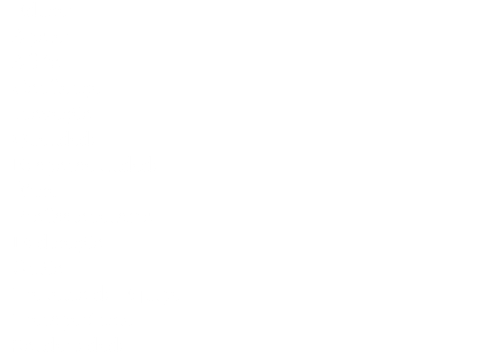 - Educar - Apoiar - Afeto - Confiança - Inovação - Qualidade - Responsabilidade - Ética - Profissionalismo - Dedicação - União - Trabalho de Equipa - Transparência - Solidariedade